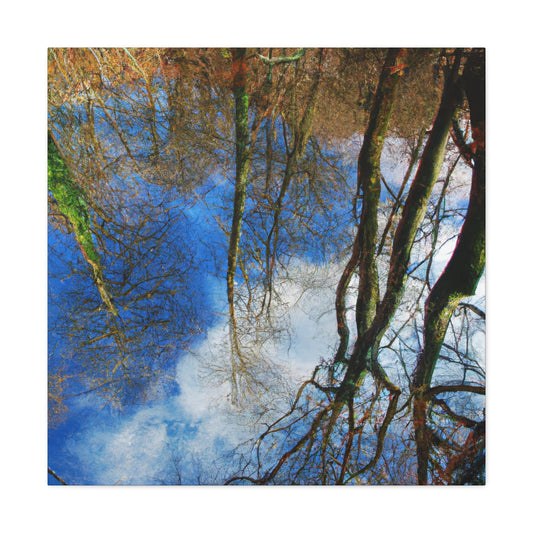 Peter Paul Rubens - canvas