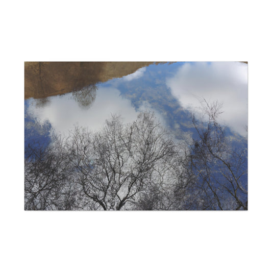 Peter Paul Rubens - canvas