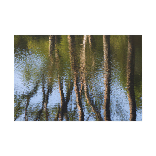 Jan Vermeer - canvas