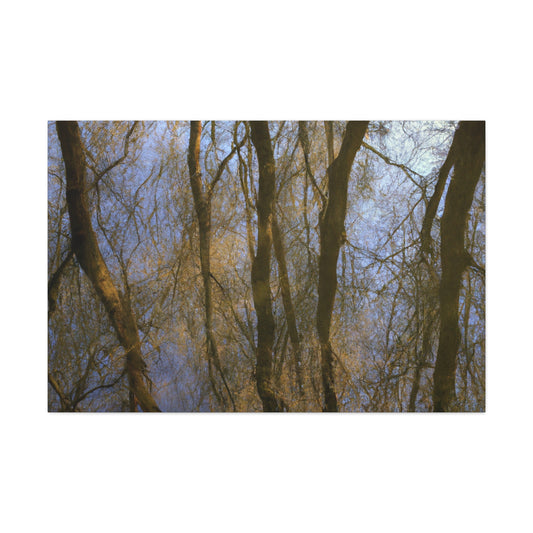 Peter Paul Rubens - canvas