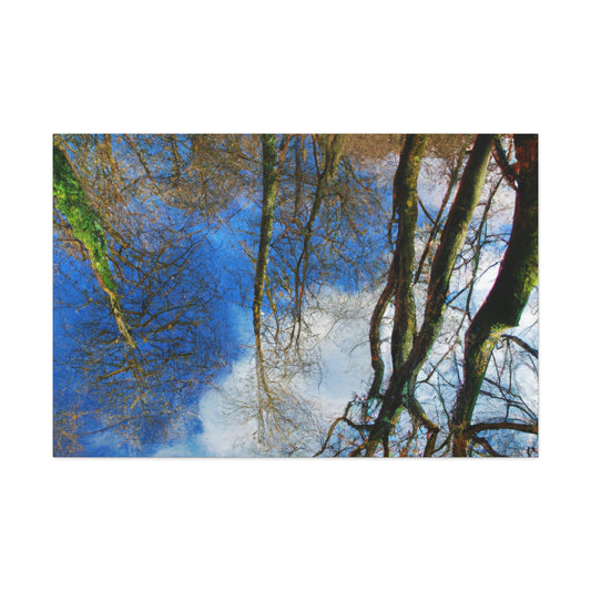 Peter Paul Rubens - canvas