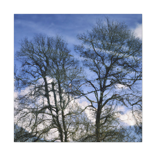 Nicolas Poussin - canvas