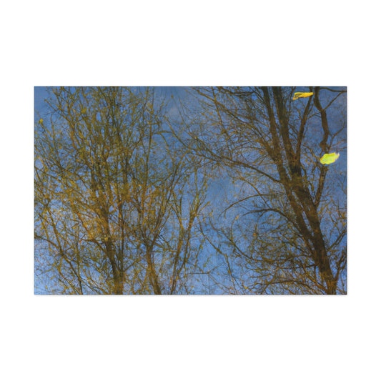 Hendrick Avercamp - canvas