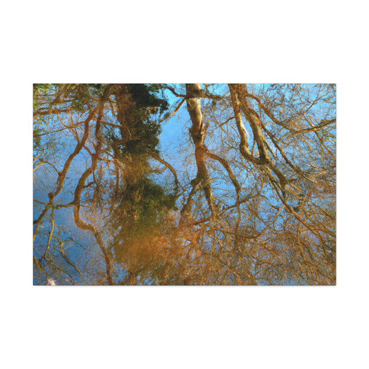 Rembrandt van Rijn - canvas