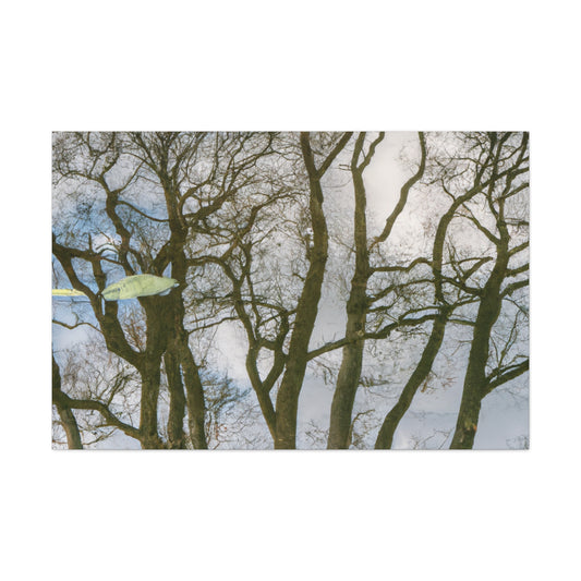 Rembrandt van Rijn - canvas