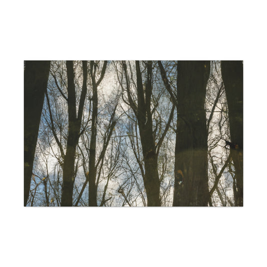 Peter Paul Rubens - canvas