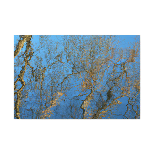 Maria Sibylla Merian - canvas