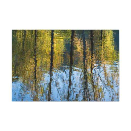 Pieter de Hooch - canvas