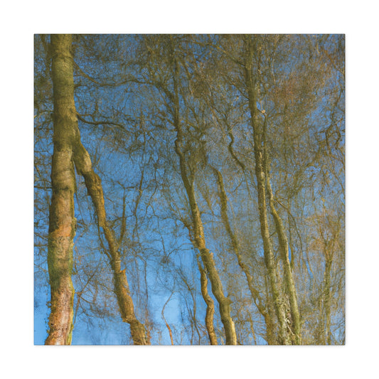 Rembrandt van Rijn - canvas