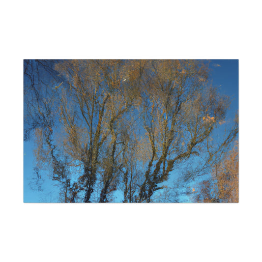 Johannes Vermeer - canvas