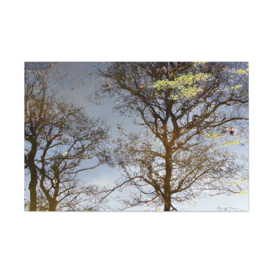 Rembrandt van Rijn - canvas