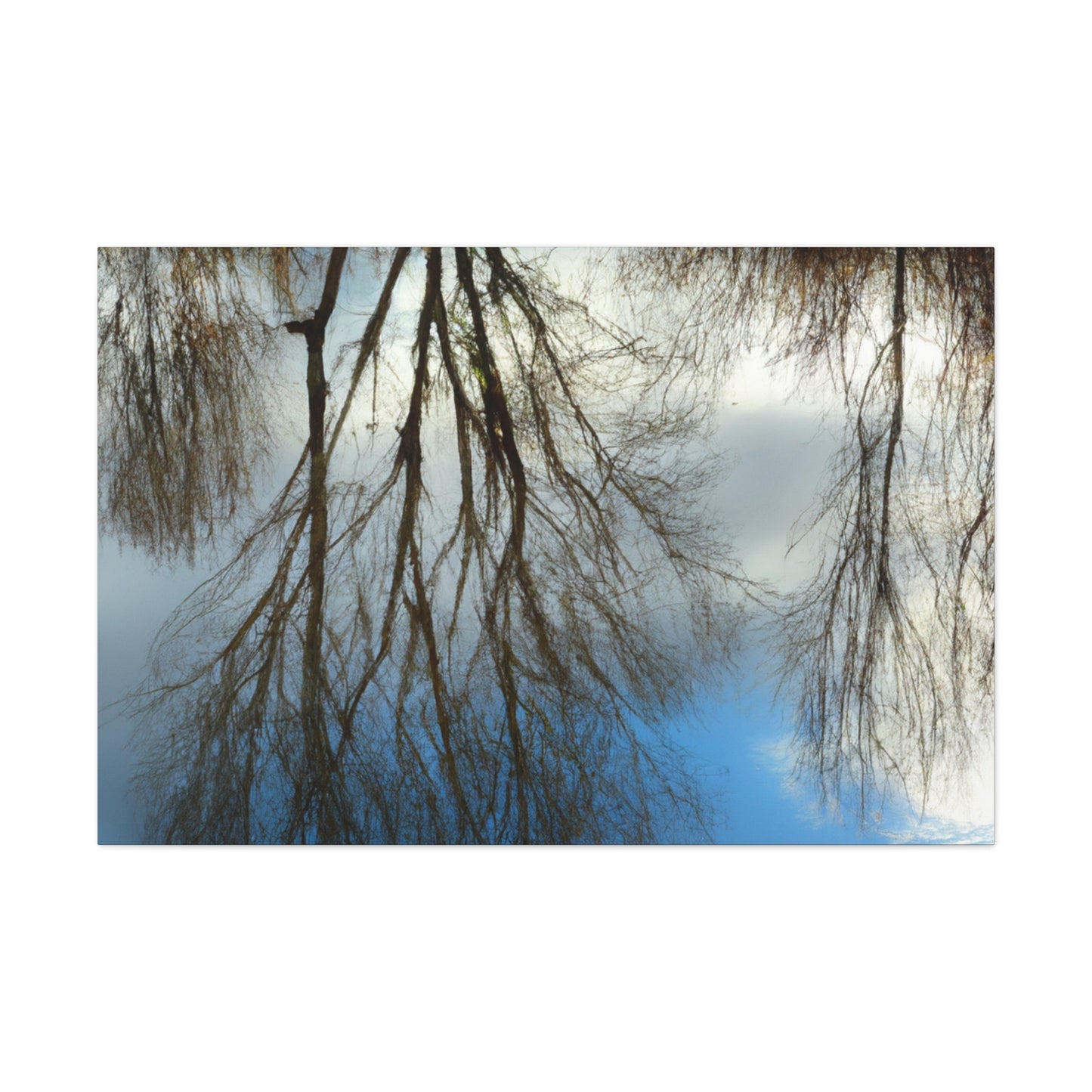 Peter Paul Rubens - canvas