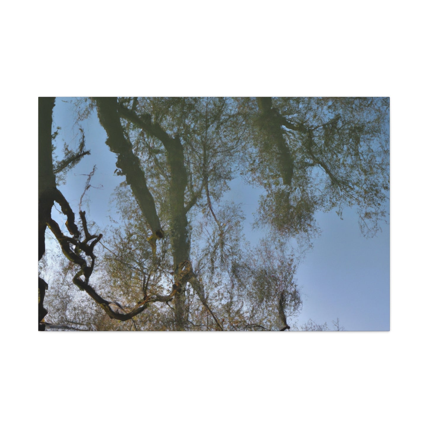 Rembrandt van Rijn - canvas