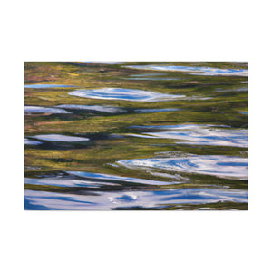 Frederik van der Meer - canvas