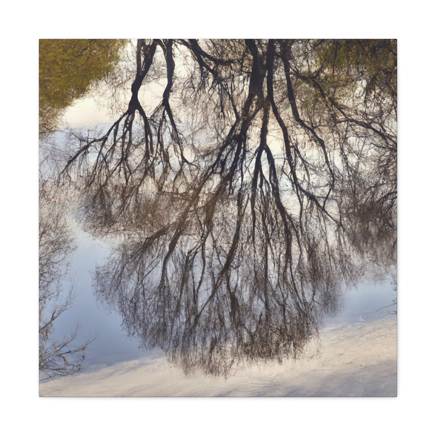 Anthony Van Dyck - canvas