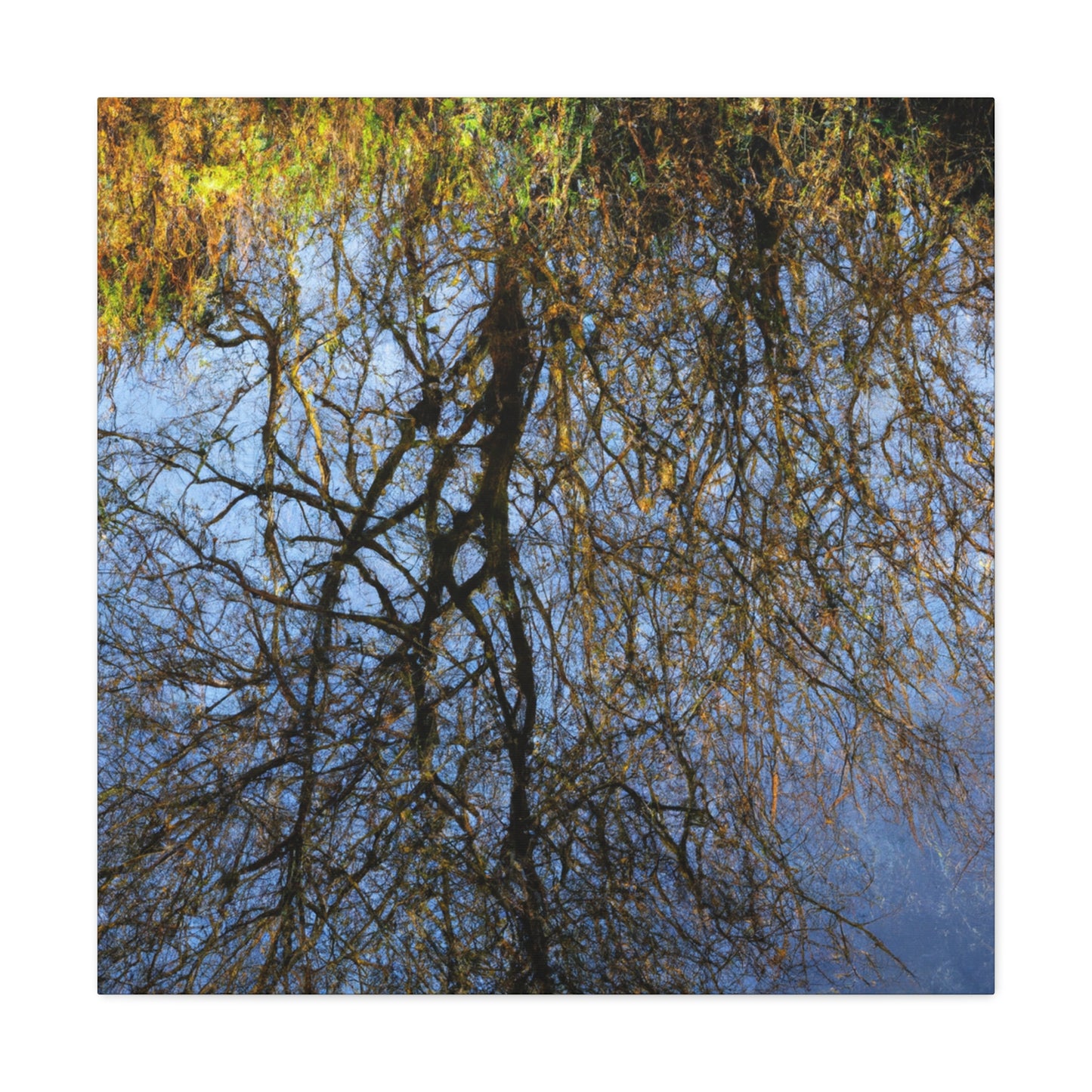 Peter Paul Rubens - canvas