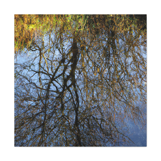 Peter Paul Rubens - canvas