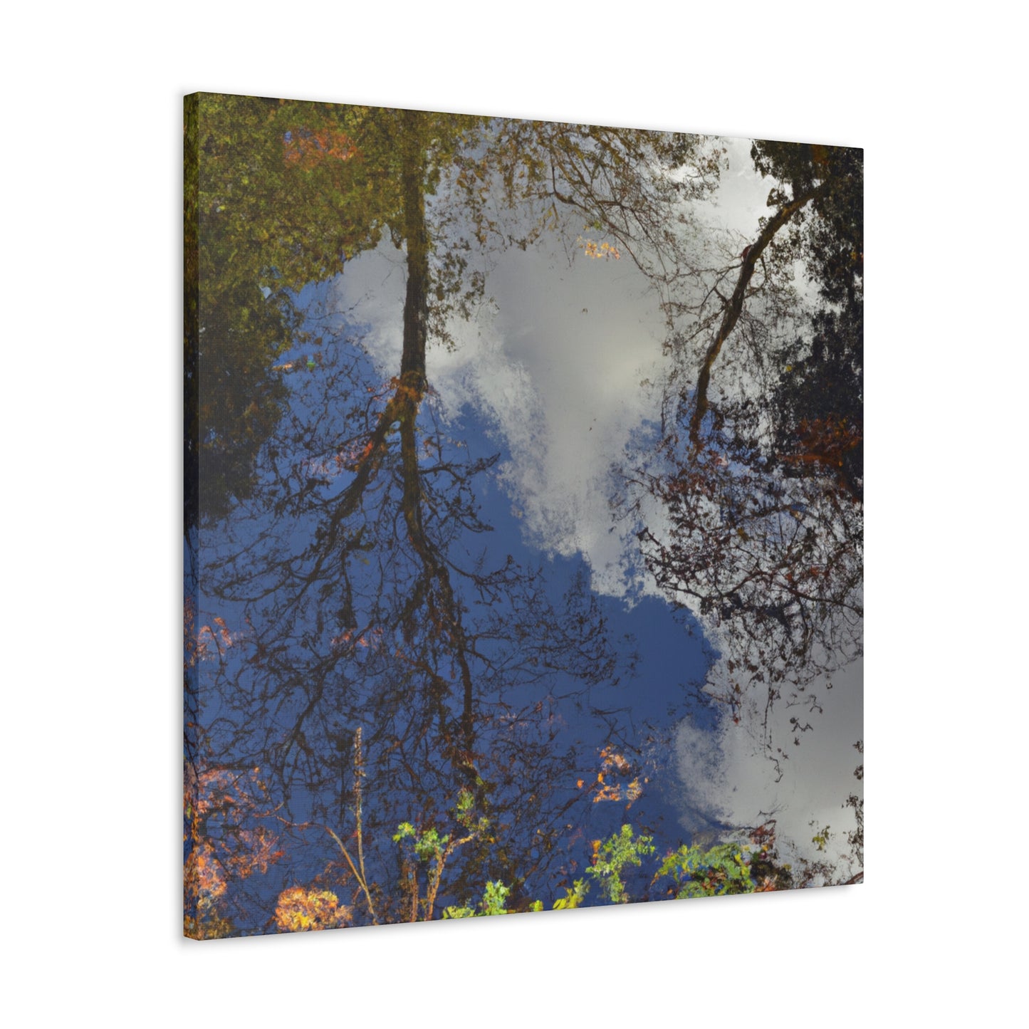 Rembrandt van Rijn - canvas