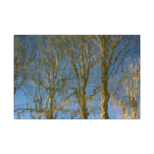 Peter Paul Rubens - canvas