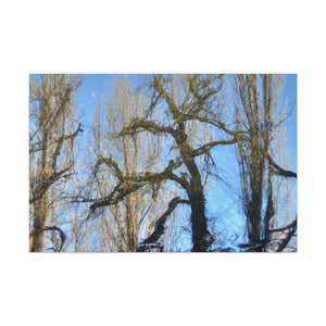 Jan Vermeer - canvas