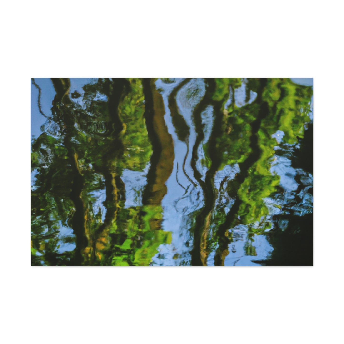 Rembrandt van Rijn - canvas