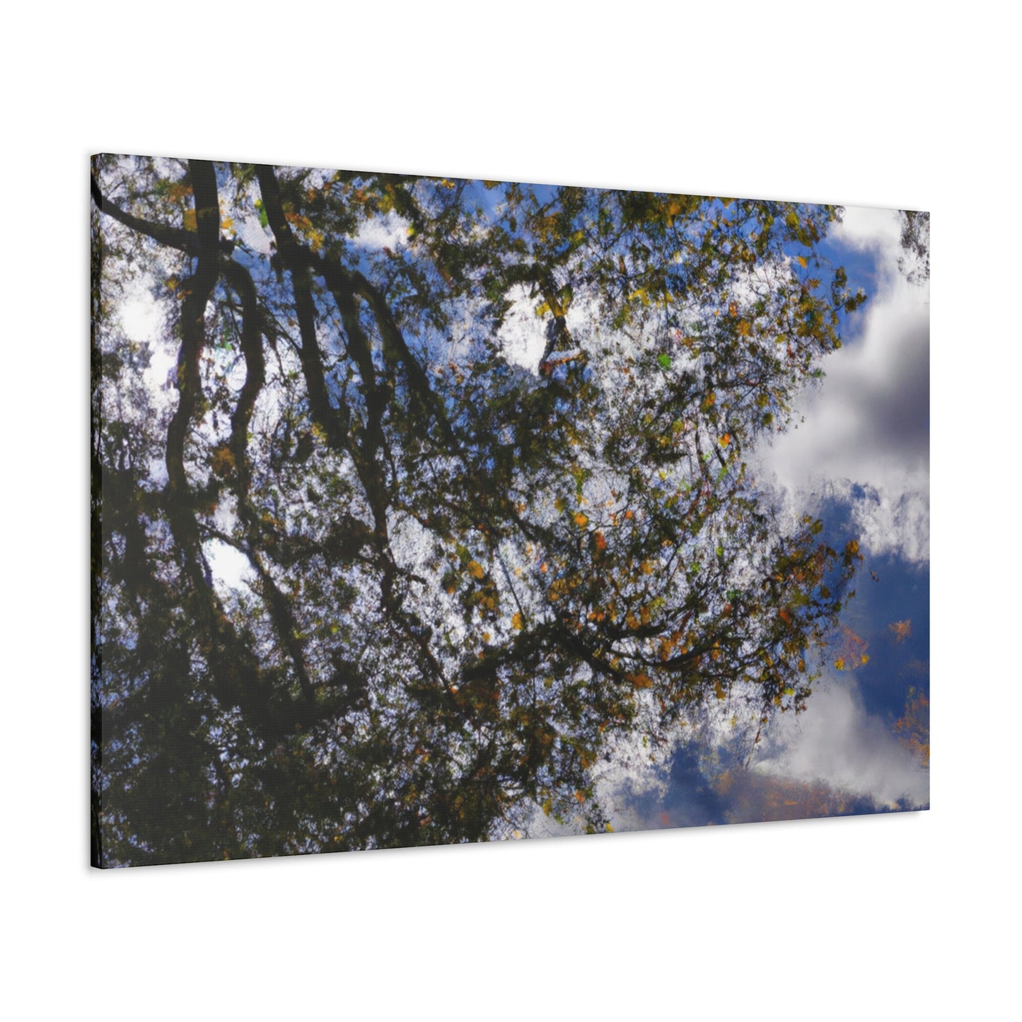 Rembrandt van Rijn - canvas