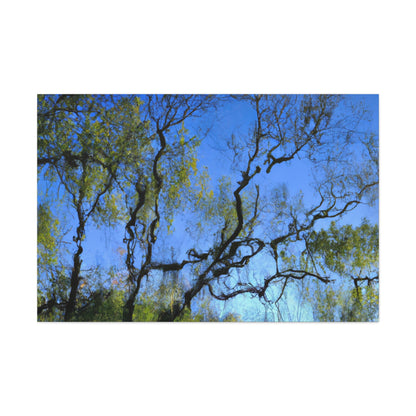 Fabritio Caroso - canvas