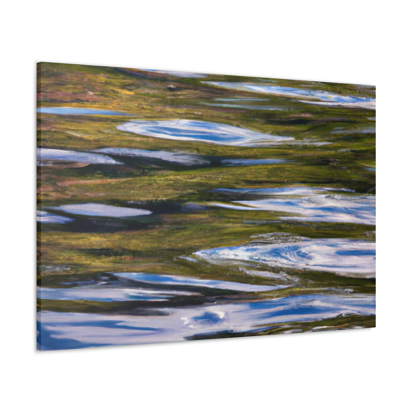 Frederik van der Meer - canvas