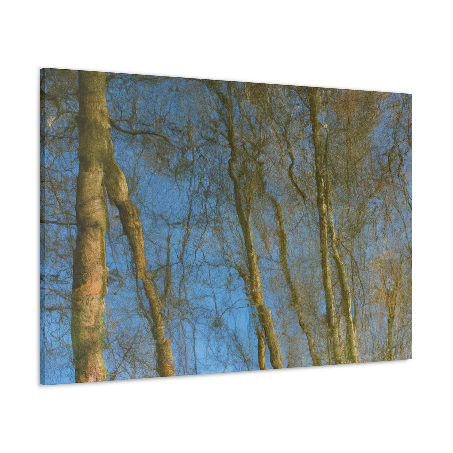 Rembrandt van Rijn - canvas