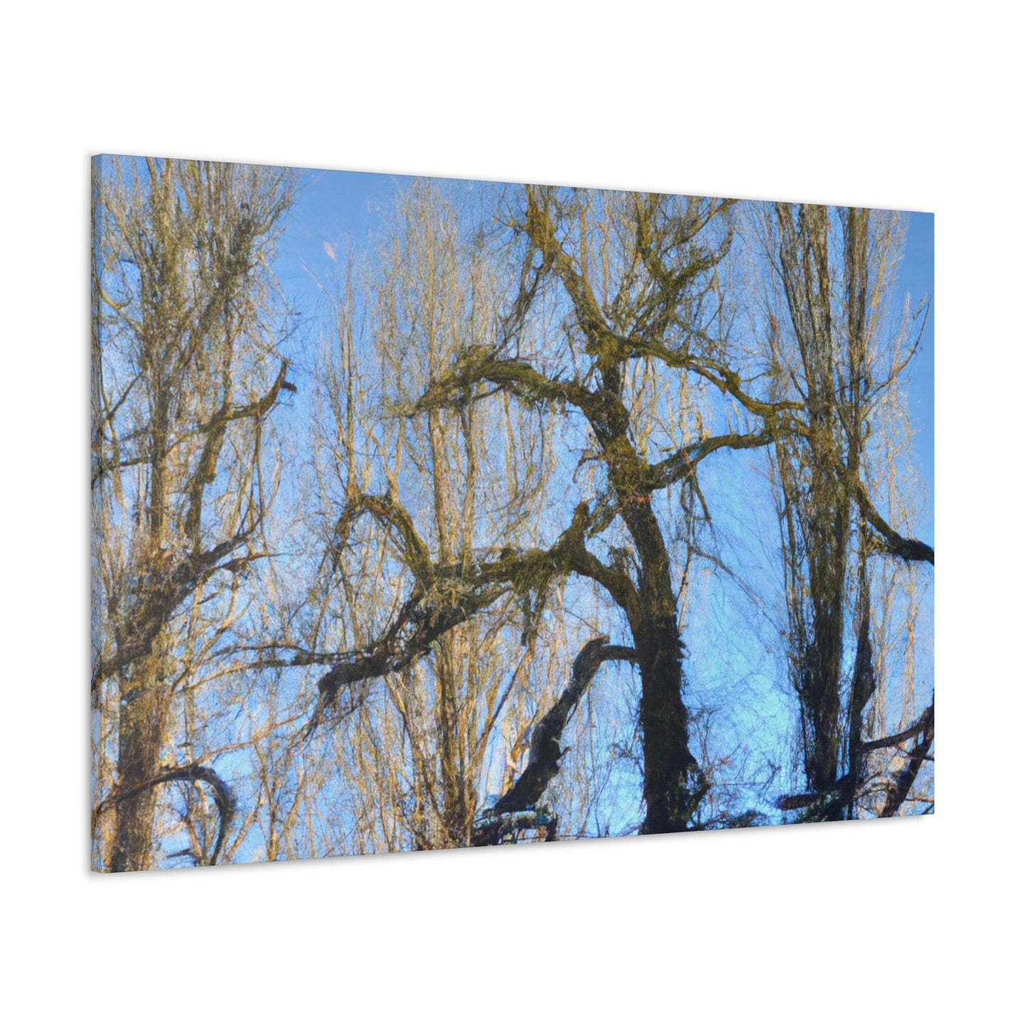 Jan Vermeer - canvas