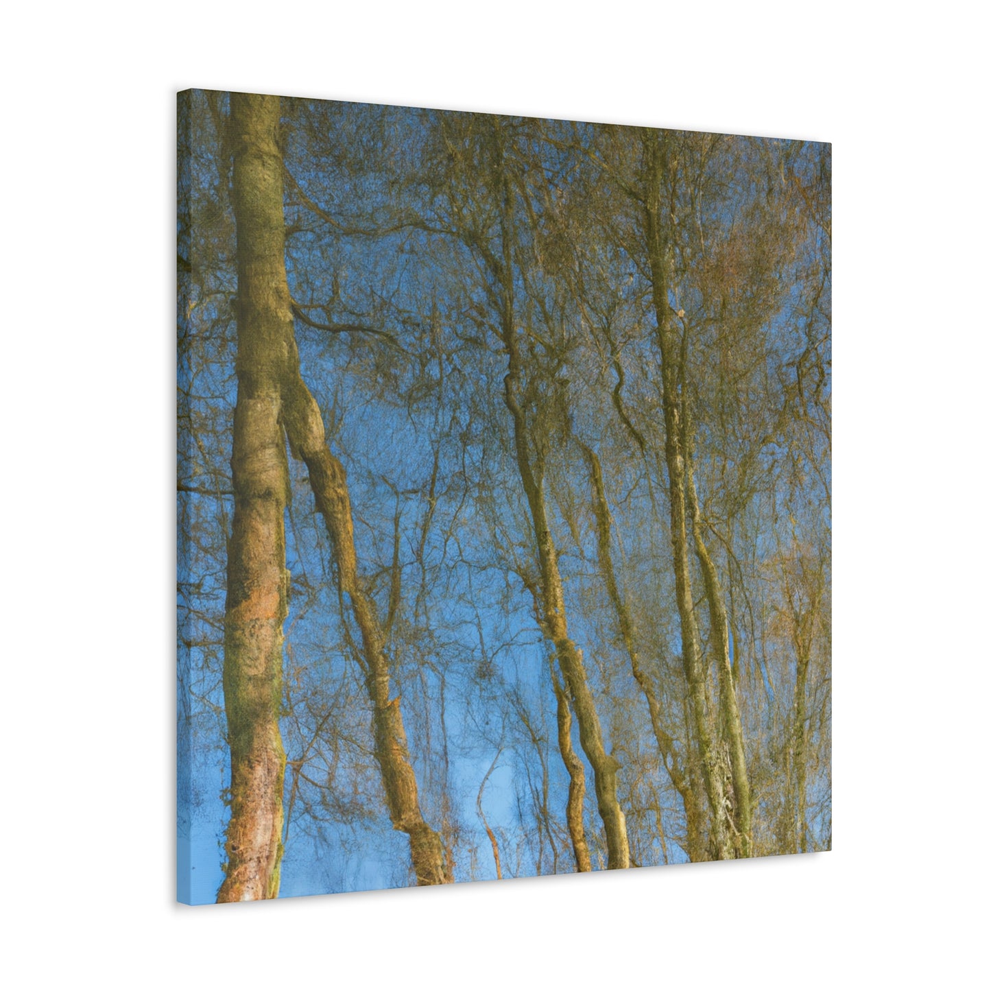 Rembrandt van Rijn - canvas