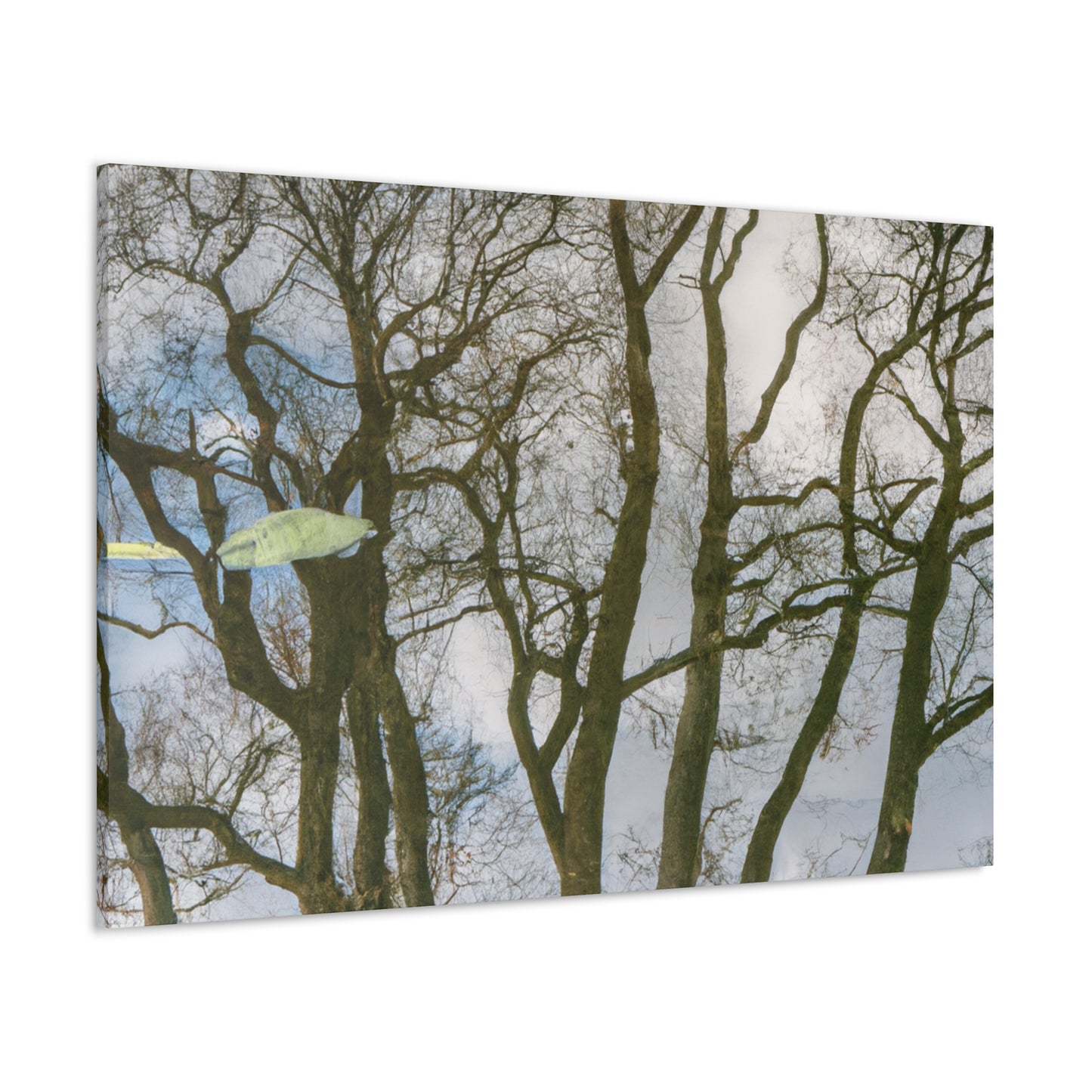 Rembrandt van Rijn - canvas