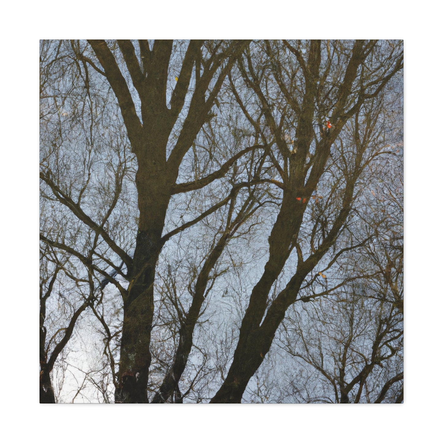 Rembrandt van Rijn - canvas