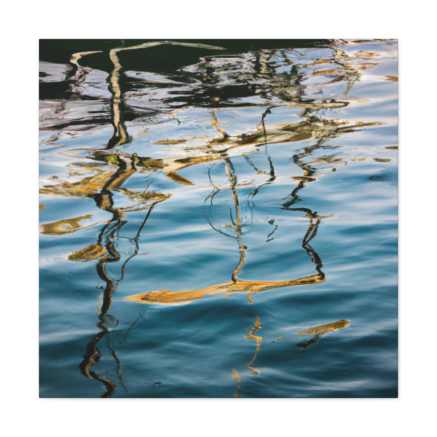 Rembrandt van Rijn - canvas