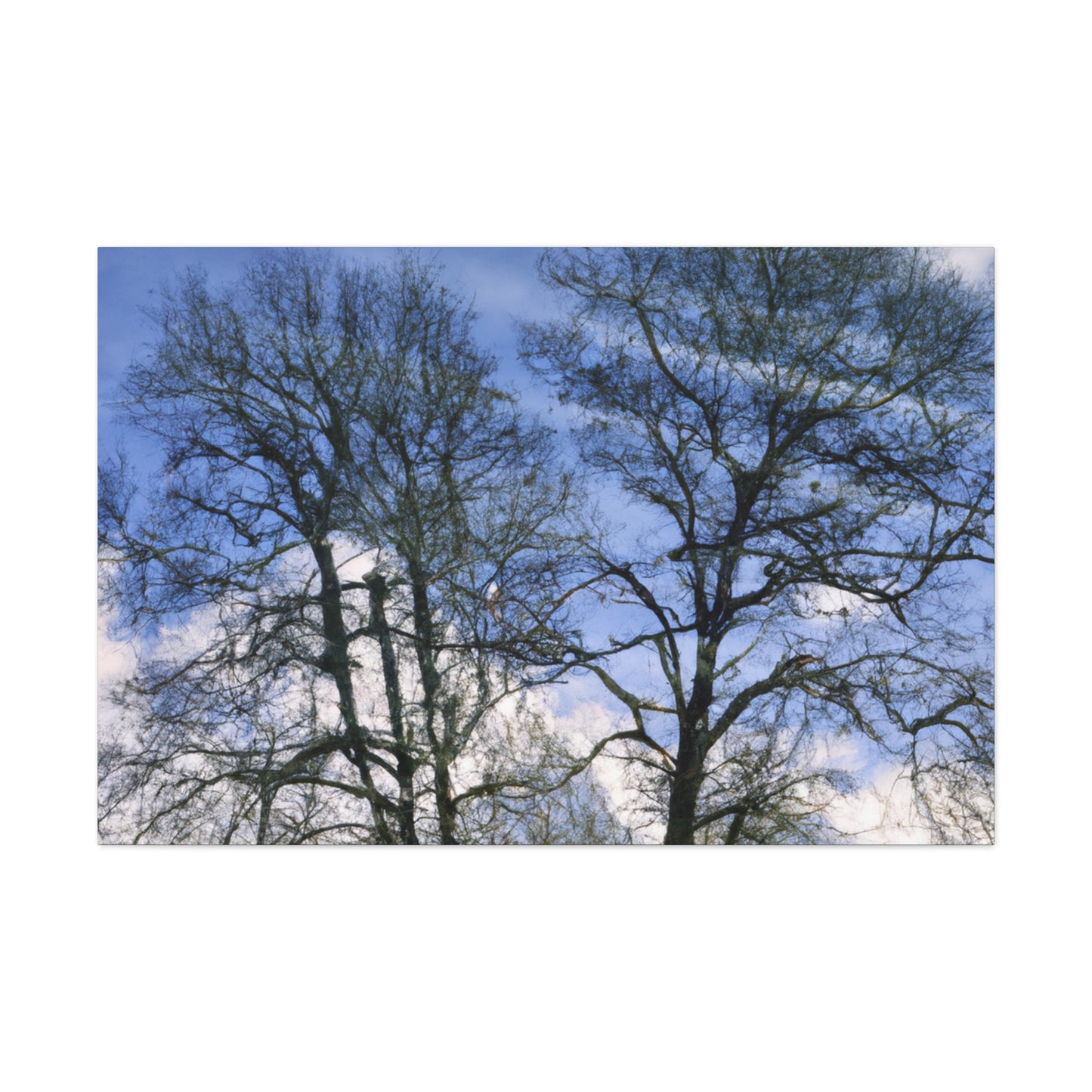 Nicolas Poussin - canvas