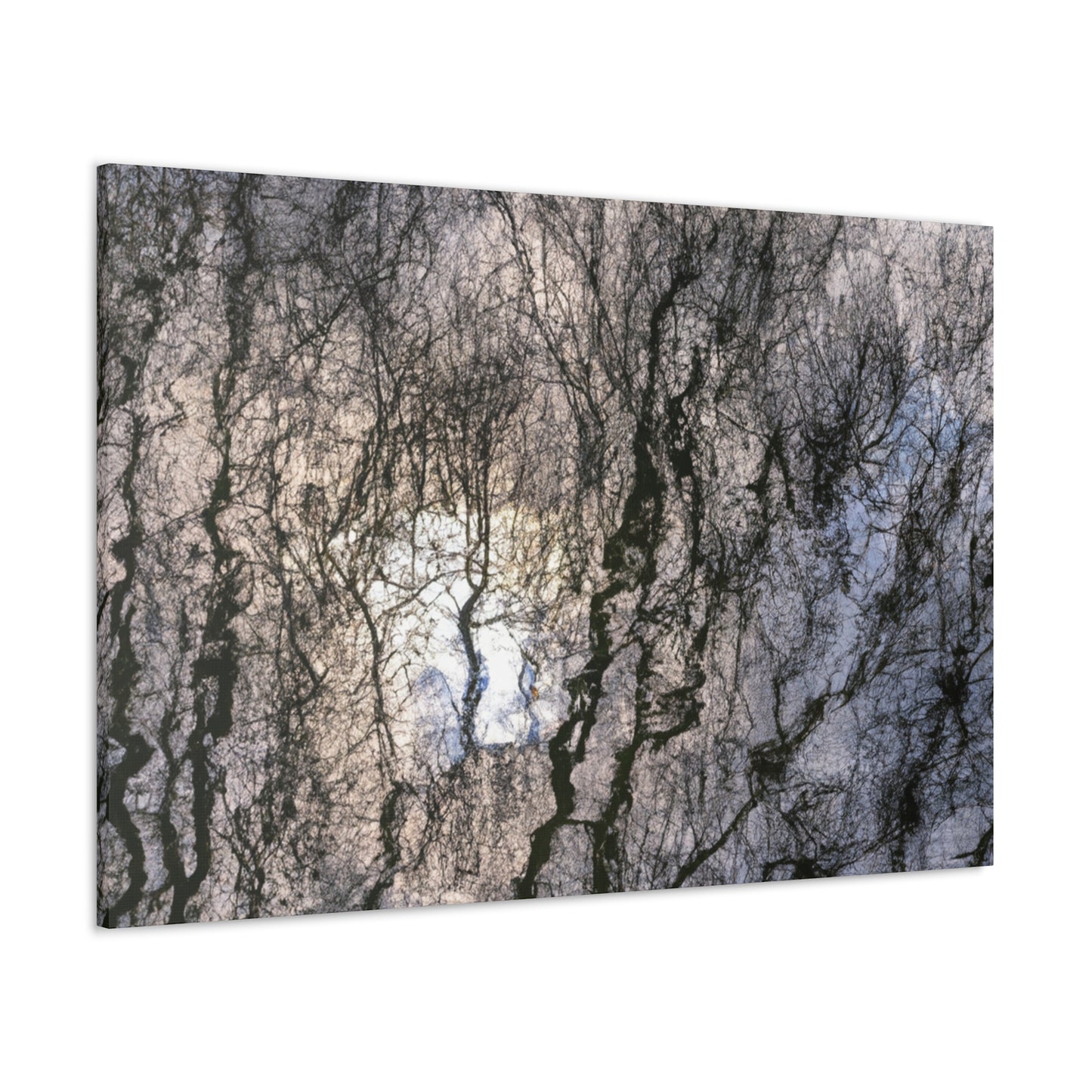 Peter Paul Rubens - canvas