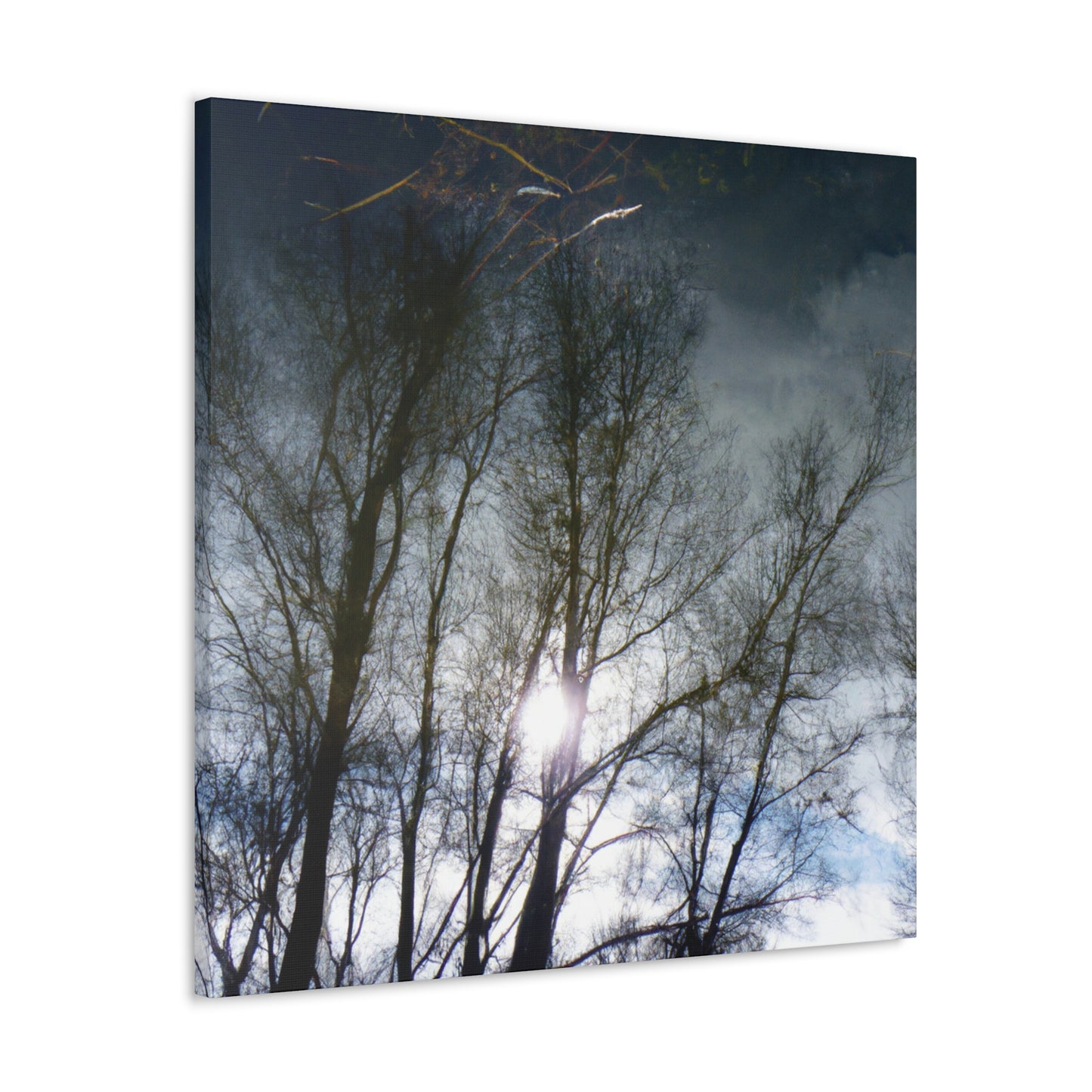 Rembrandt van Rijn - canvas