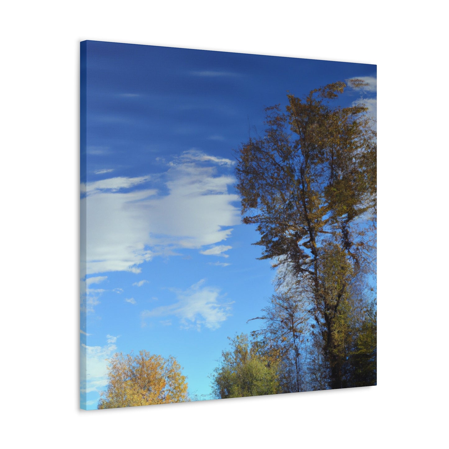 Rembrandt van Rijn - canvas