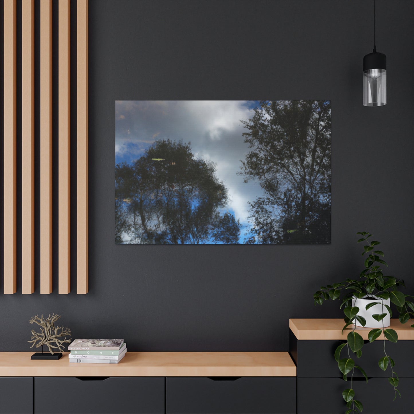 Gerard de Lairesse - canvas