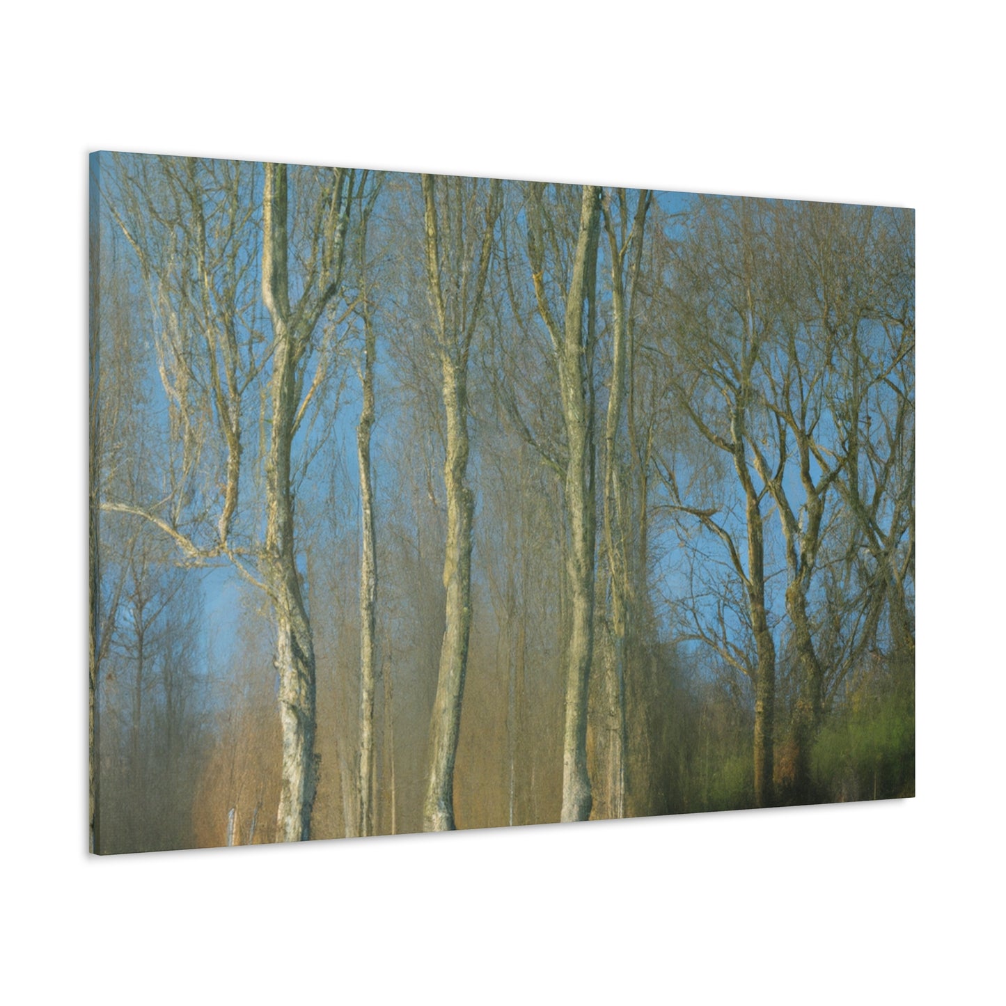 Rembrandt van Rijn - canvas