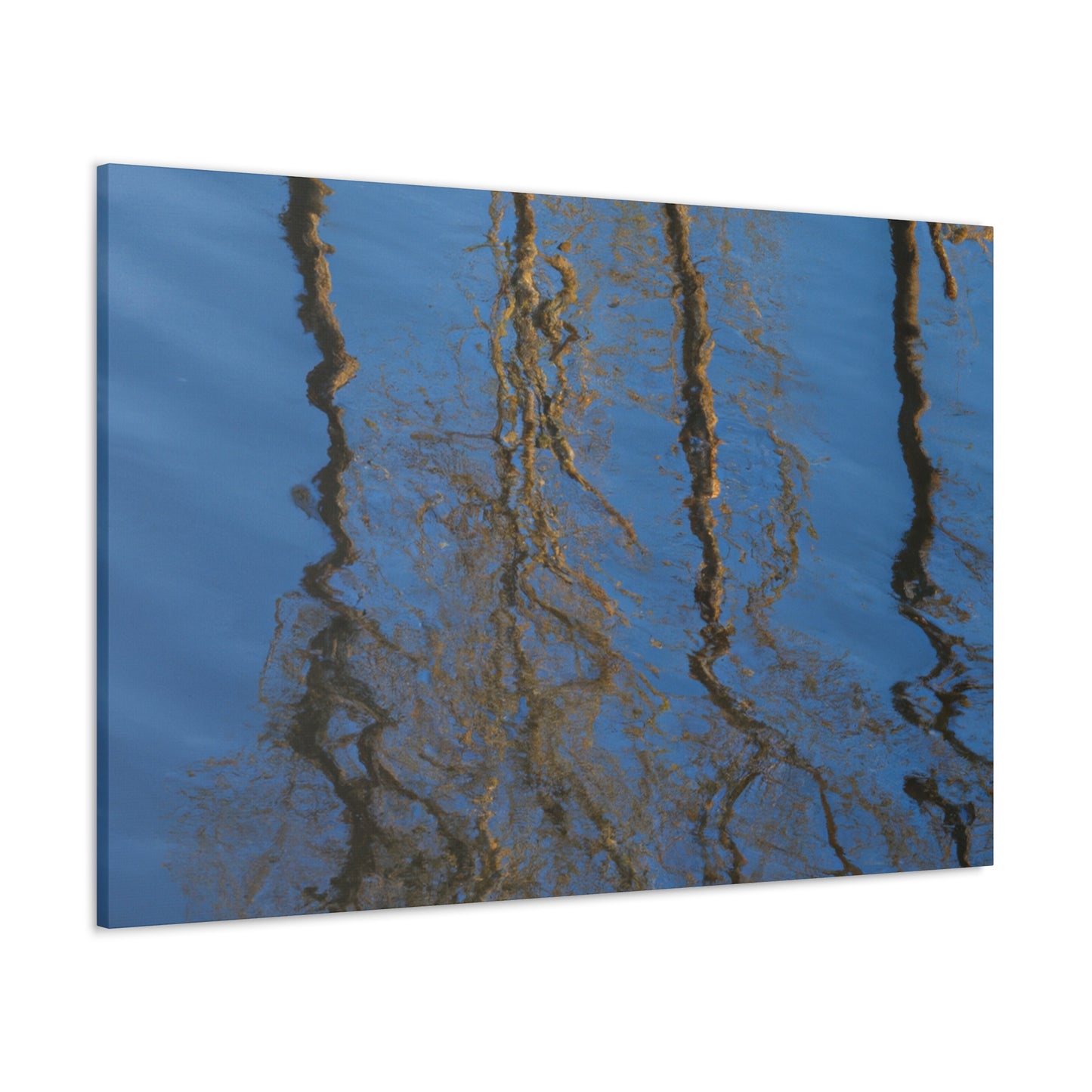 Peter Paul Rubens - canvas