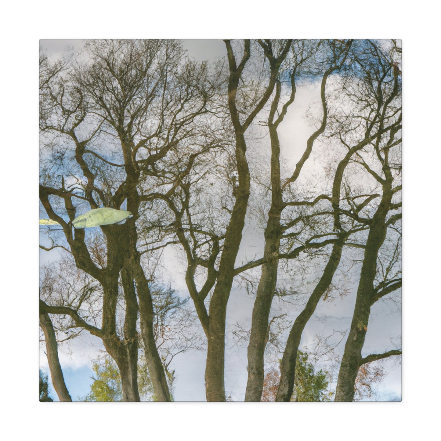 Rembrandt van Rijn - canvas