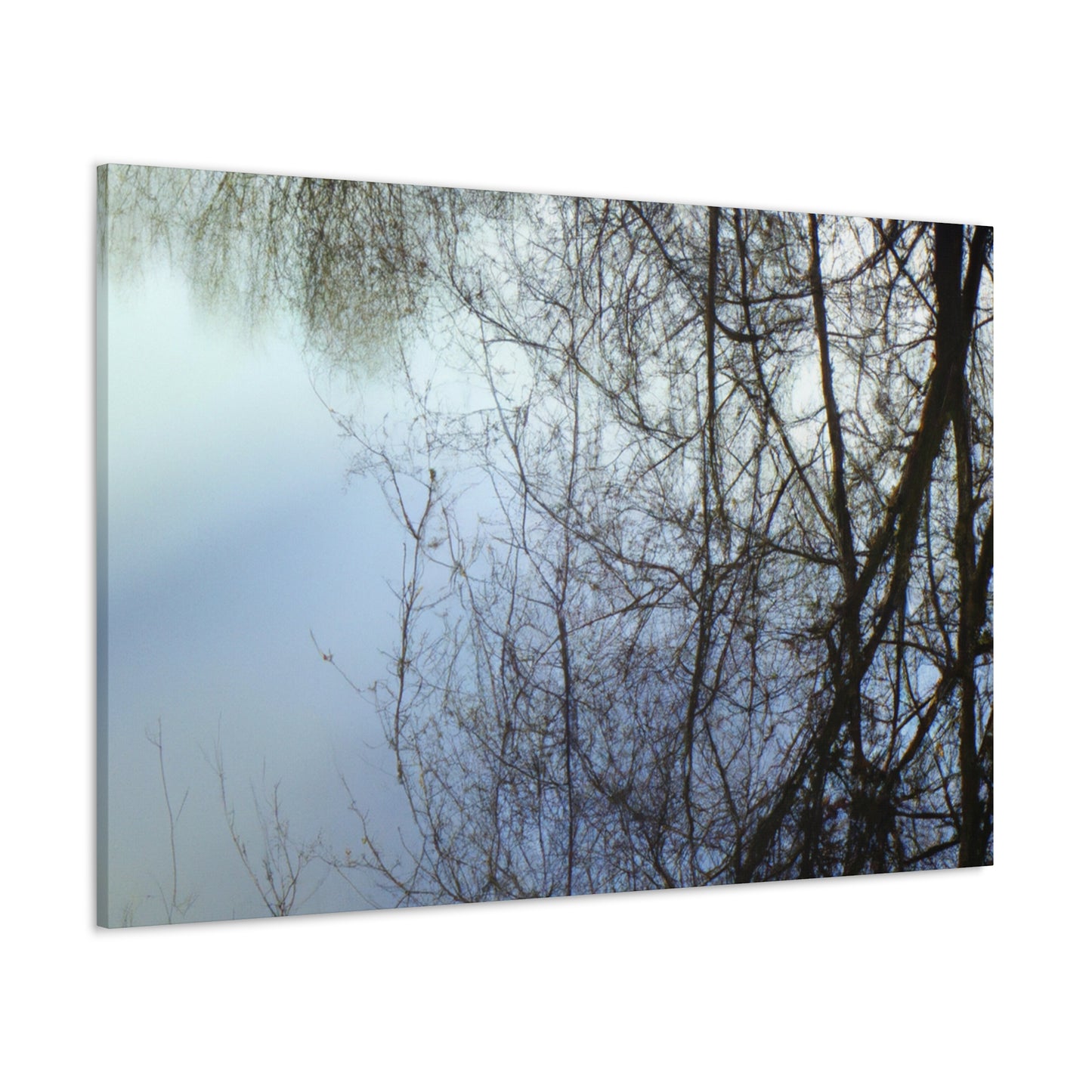 Peter Paul Rubens - canvas