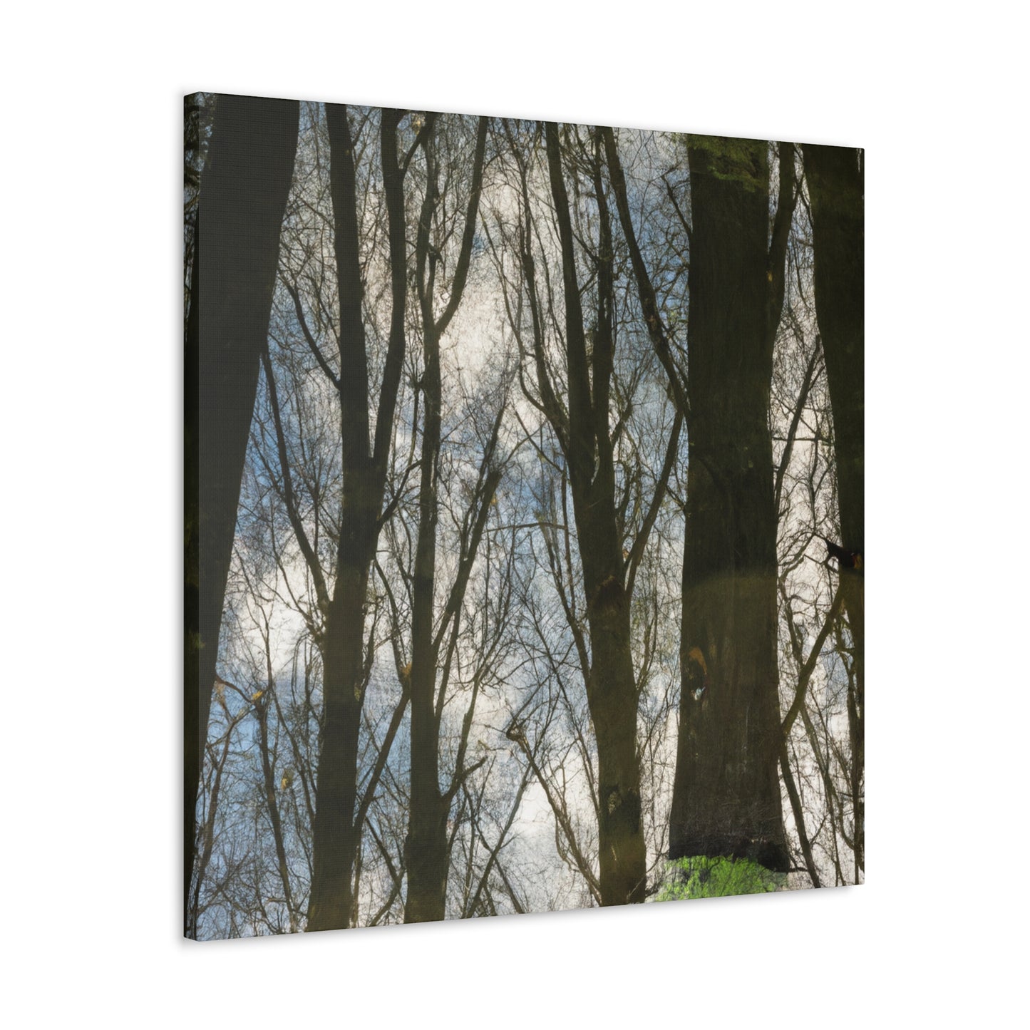 Peter Paul Rubens - canvas