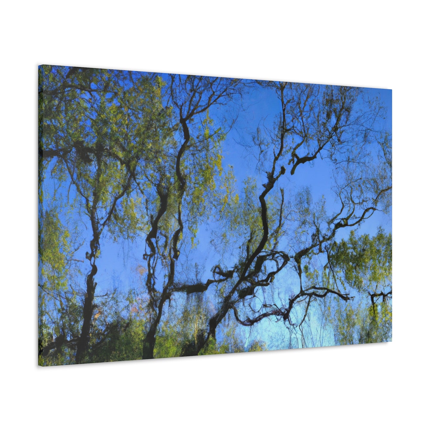 Fabritio Caroso - canvas