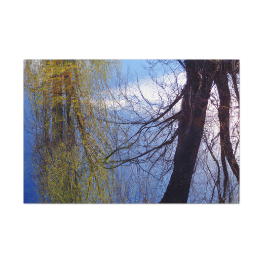 Rembrandt van Rijn - canvas