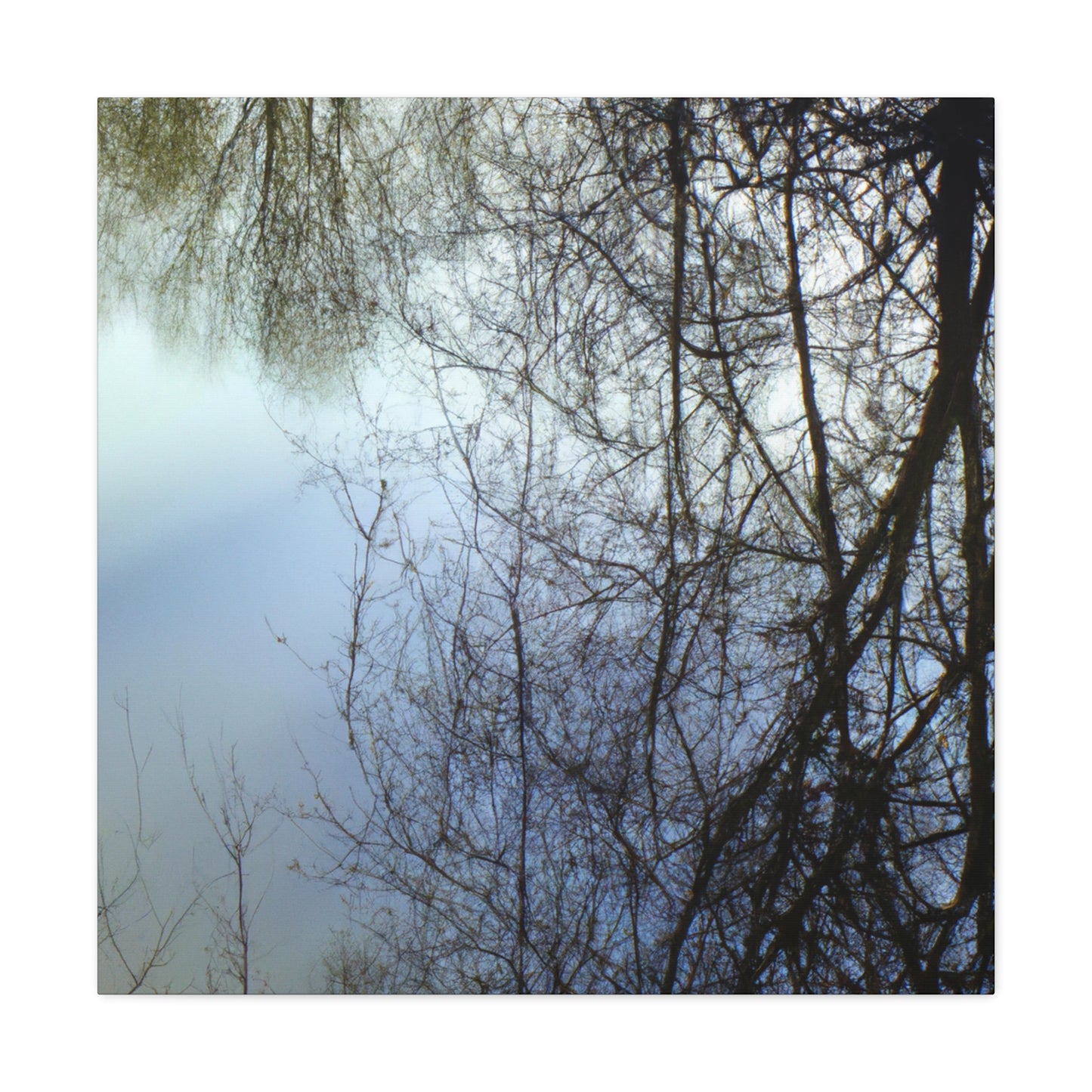 Peter Paul Rubens - canvas