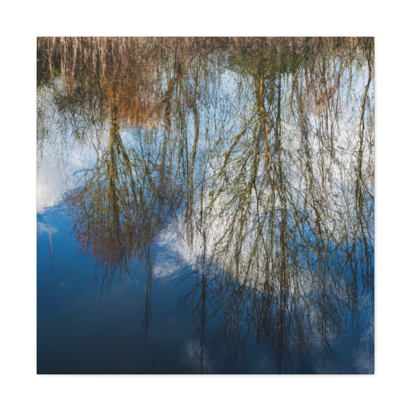 Peter Paul Rubens - canvas