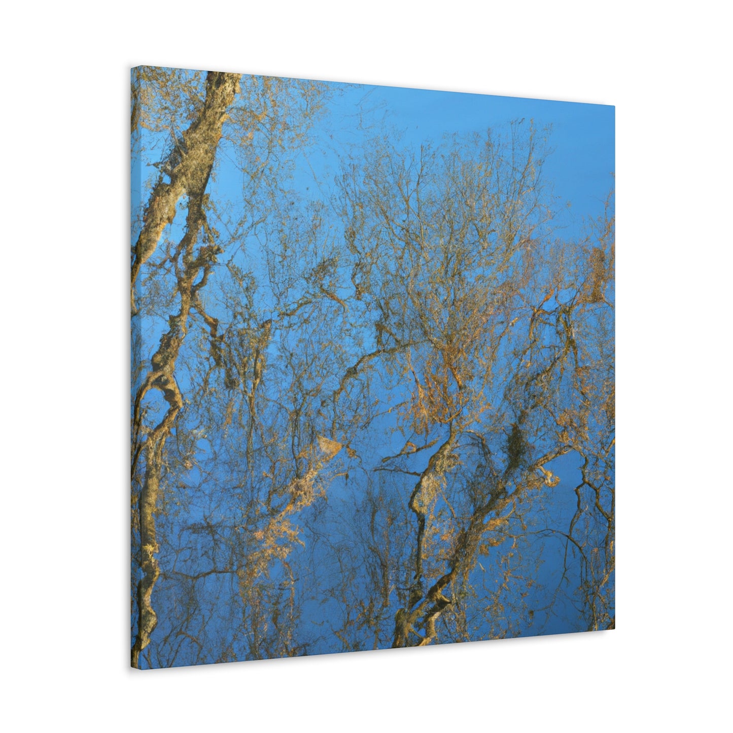 Maria Sibylla Merian - canvas