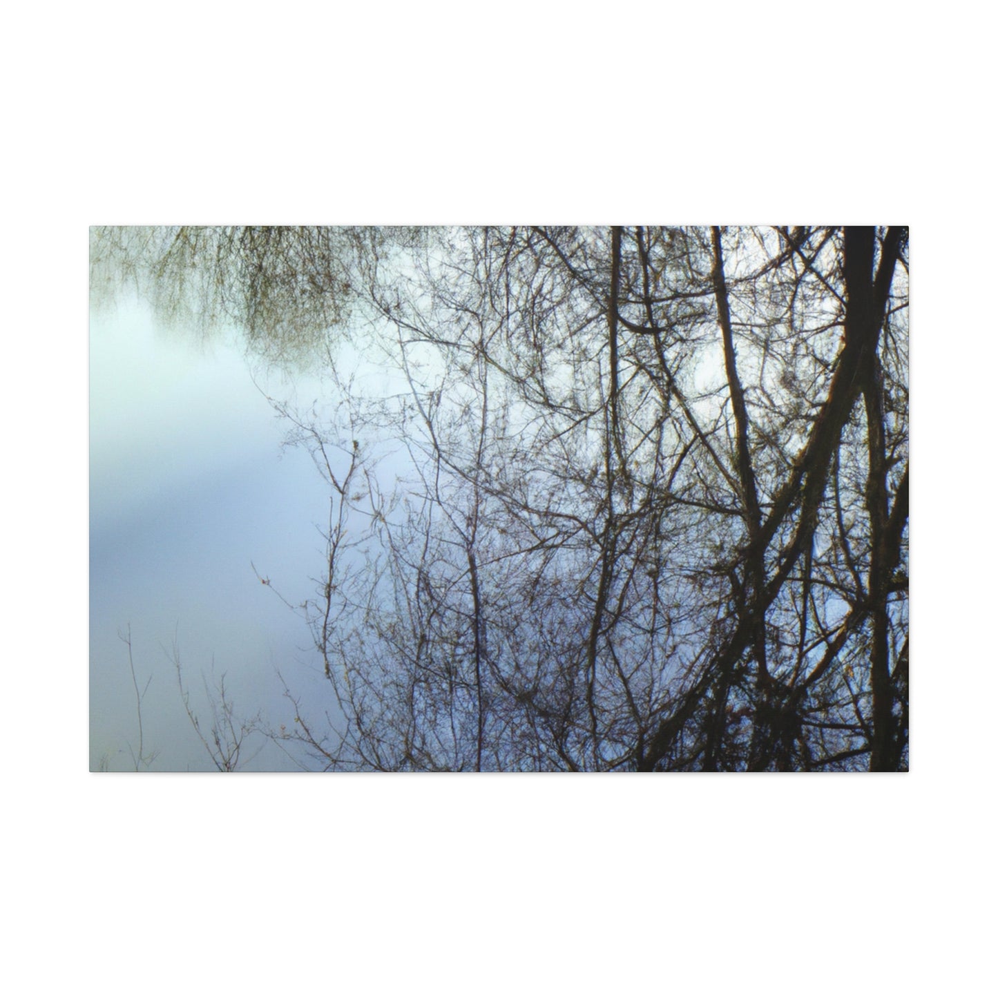 Peter Paul Rubens - canvas